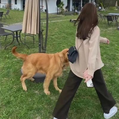 我的外语老师