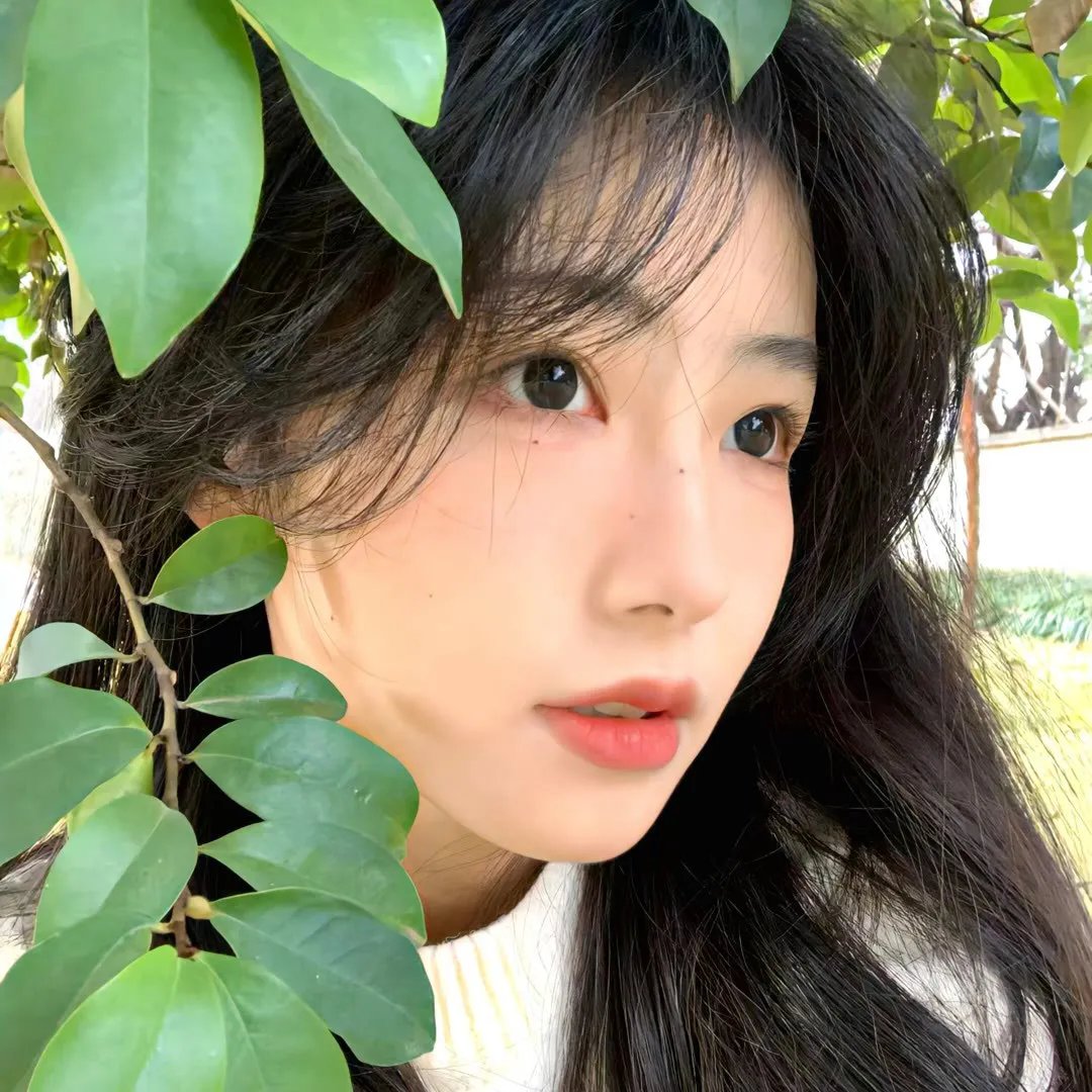 暗宅之谜