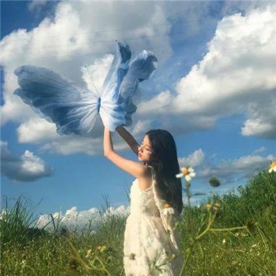 哈莱姆的郁金香