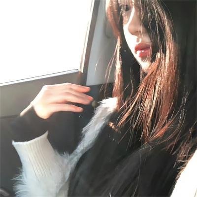 火之鸟772